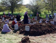 Mardin Jandarma Komutanı görevden alındı!